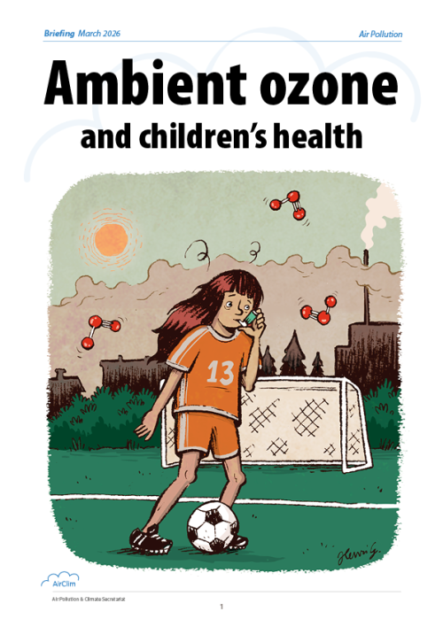 Cover of ambient ozone report