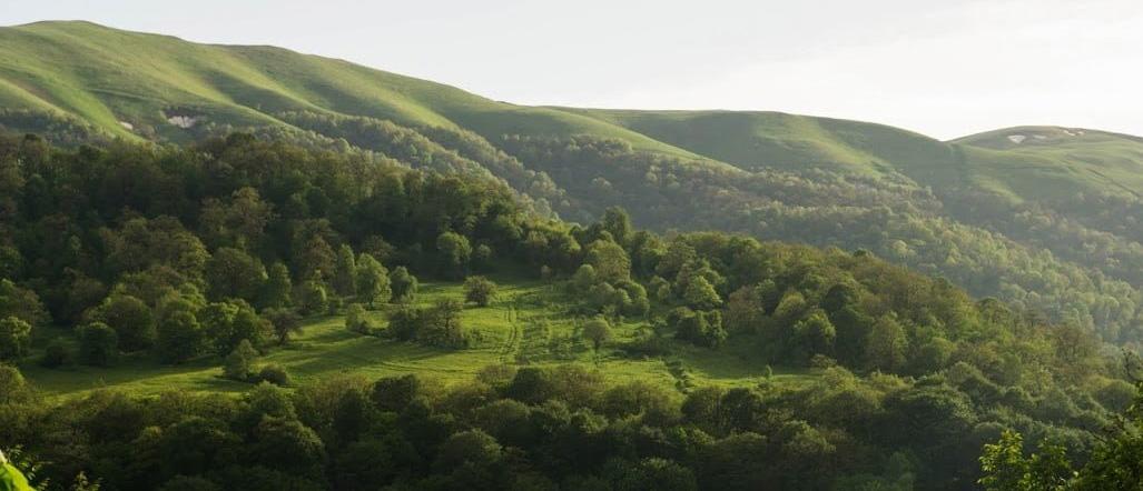 Dilijan National Park in Armenia