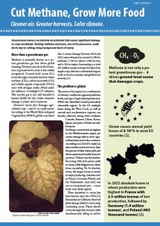 Factsheet about ozone and crops