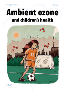 Cover of ambient ozone report