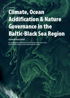 Cover of report
