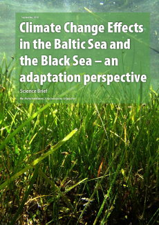 Cover of report