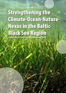 Cover of report